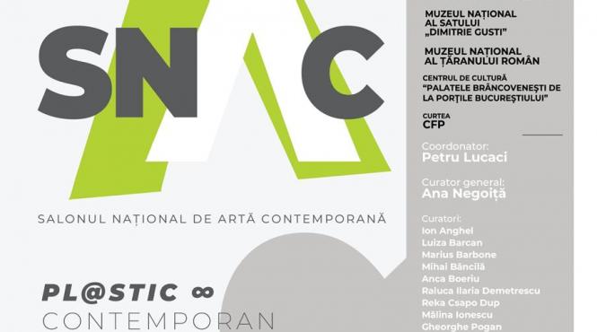 salonul national de arta contemporana snac editia 2024