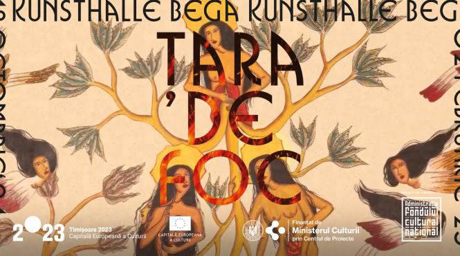 kunsthalle bega prezinta tara de foc land of fire
