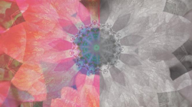 premiul cititorilor la gala angelus 2024 a fost acordat scriitoarei tatiana tibuleac pentru romanul gradina de sticla