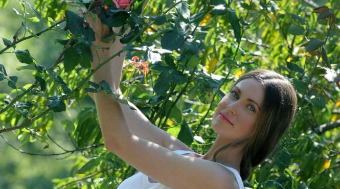 horoscop zilnic 23 octombrie 2024