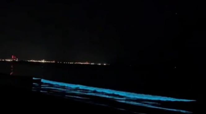 valuri foscorescente marea neagra constanta bioluminiscenta