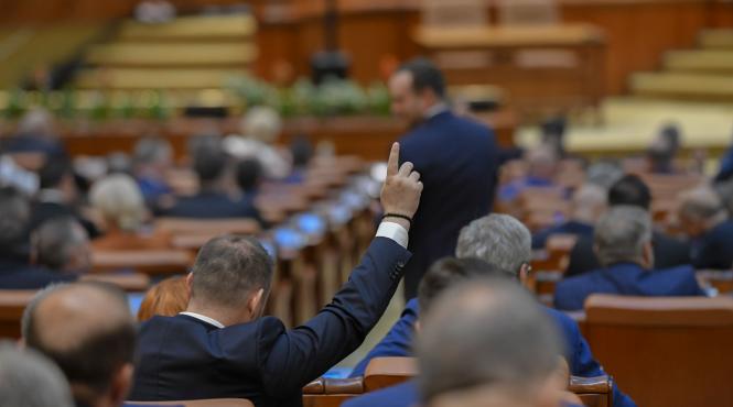 smecherie parlament referendum nicusor dan