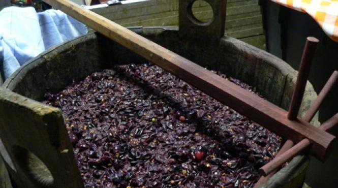 brumar luna sezatorilor vinurilor fermenteaza butoaie