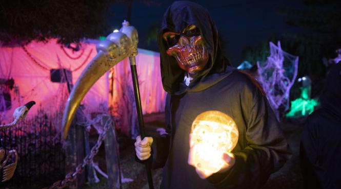 costume cainii halloween