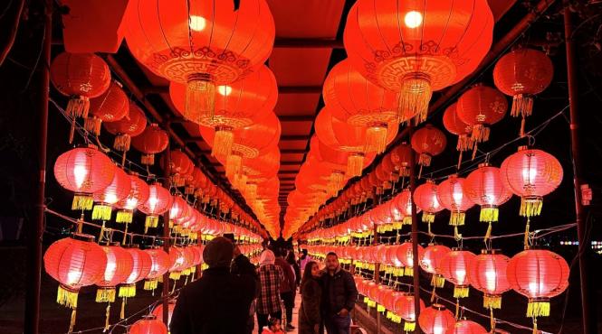 horoscop chinezesc 2025 influenta sarpelui de lemn asupra tuturor zodiilor