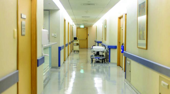 new york spital nepoti