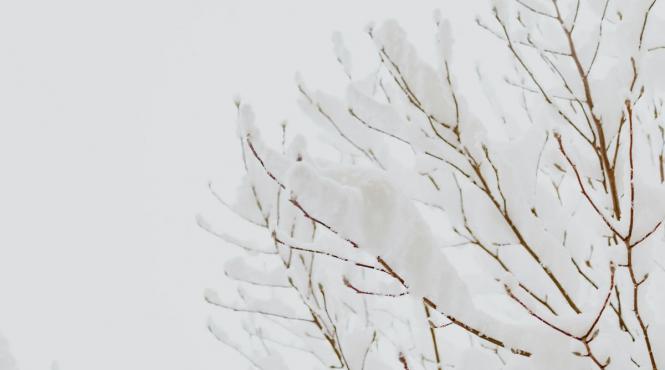 vortex polar prognoza meteo romania ploi ninsori abundente viscol