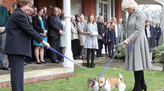 doliu casa regala britanica beth catelusa preferata regina camilla