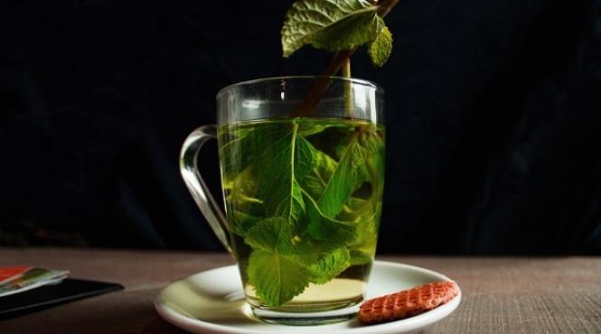 roinita planta medicinala proprietati remarcabile somn linistit digestie perfecta