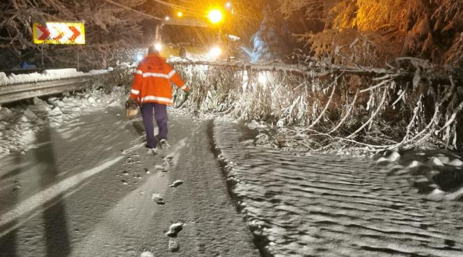 ninge abundent centrul tarii alerta meteo deszapezire copaci cazuti