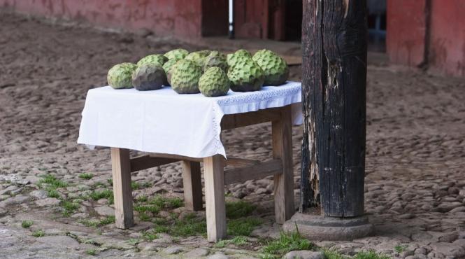 cel mai sanatos fruct