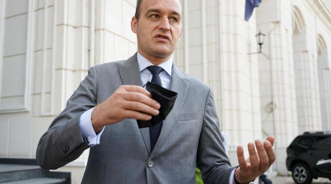 vilceanu pnl conducere