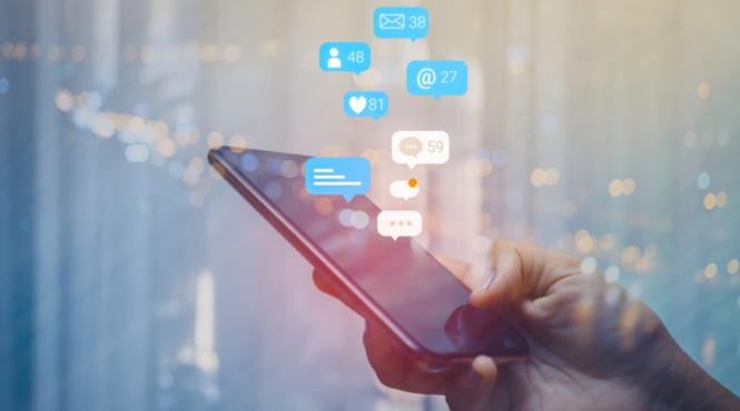 campanii electorale botii