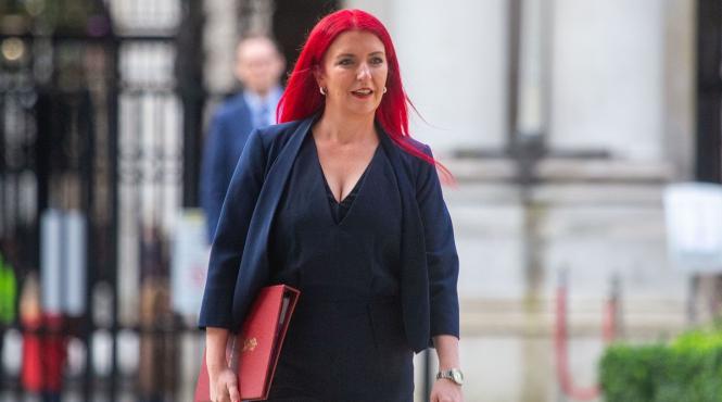 ministru britanic demisie minciuna telefon serviciu