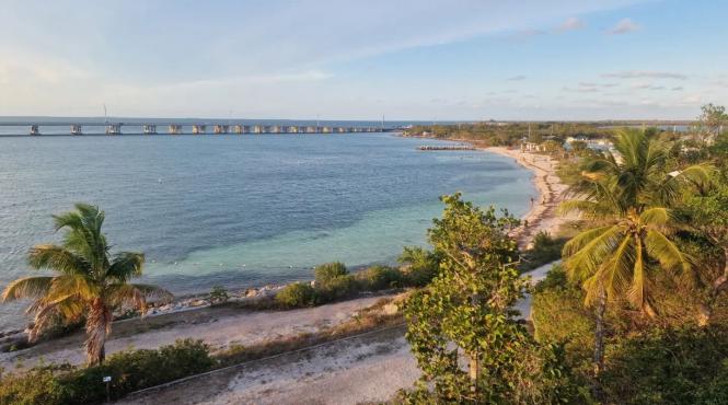 paradis tropical florida