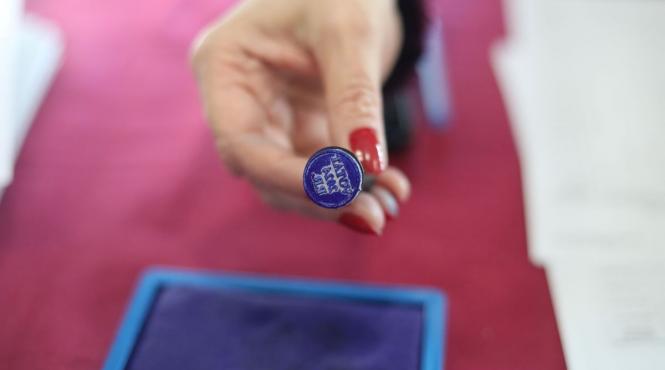 alegeri parlamentare 2024 romani aleg senatorii deputatii