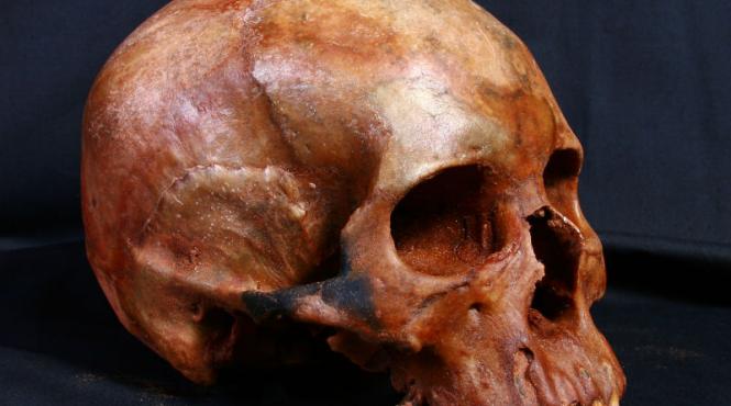 descoperire socanta 15 cranii umane