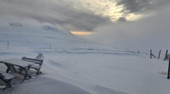 cinci tineri blocati jepii mari incapatanare trasee nerecomandate