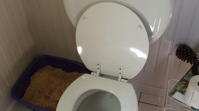 cum cureti rezervor toaleta prevenire rugina mucegai