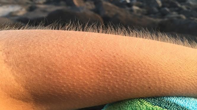 piele gaina fiori mesaj spiritual intuitie comunicare energetica