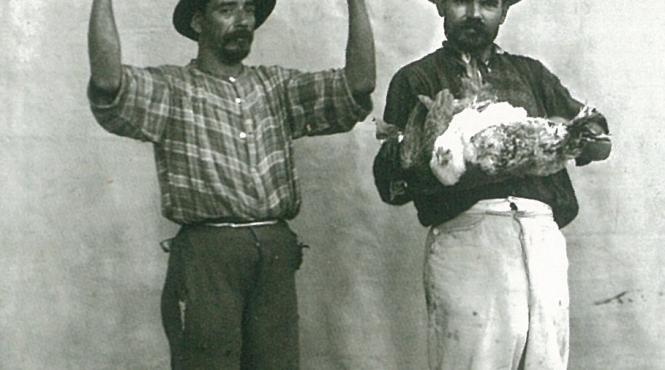 pisicher termen sens text origine