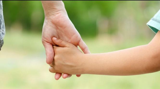 lege asistenti maternali studii liceale scoala profesionala