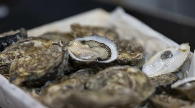 descoperire rara barbat gasit perla stridie cumparata piata