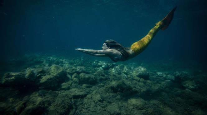 5 zodii magie sirene