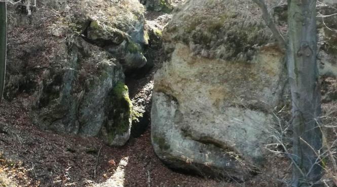 cele mai vechi fosile umane din europa descoperite romania