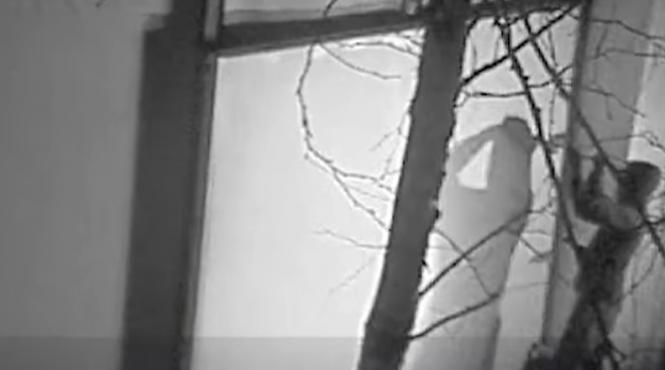 primele imagini hoti furt tezaur dacic muzeu olanda