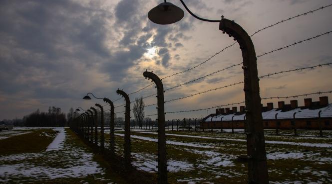 ceremonii auschwitz 80 ani eliberare lagar