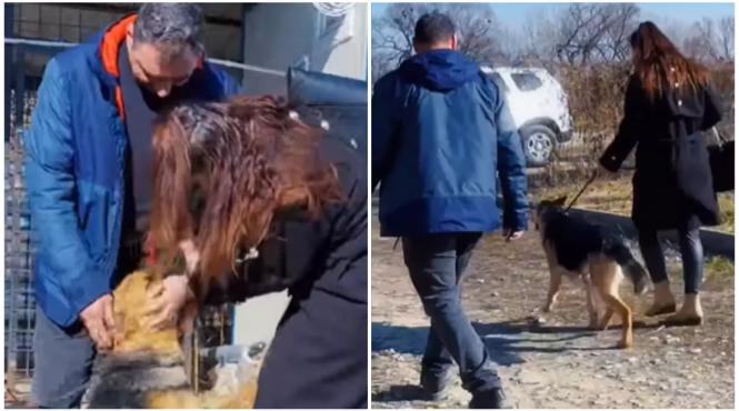 catelusa petarde craciun