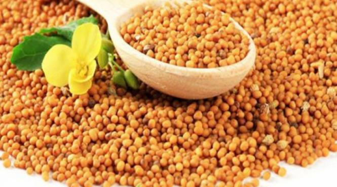 aliment ajuta scadere colesterol