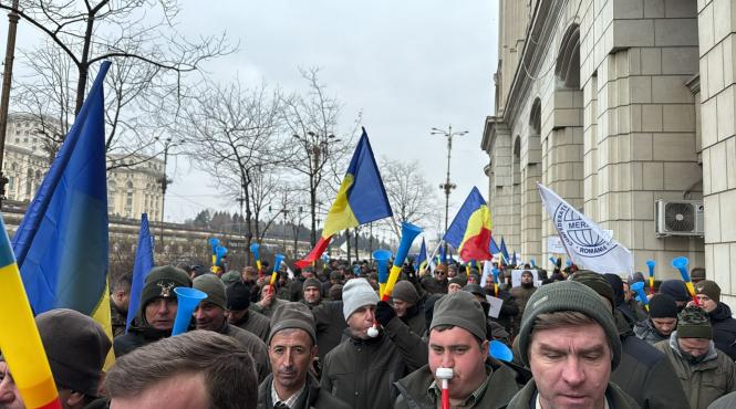 romsilva protest compensatii contributii buget