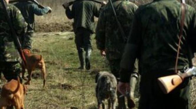 vanatoare padure mistreti