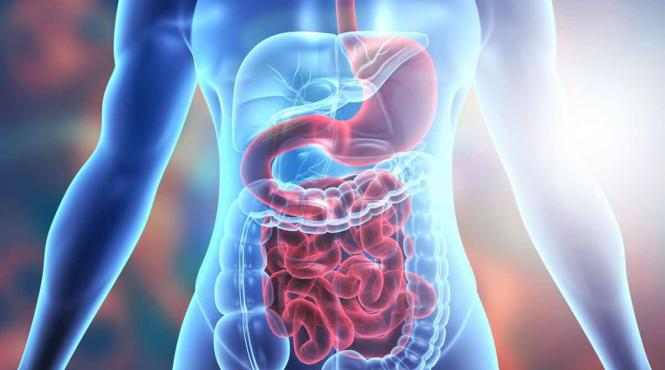 simptome digestiv doctor endoscopia