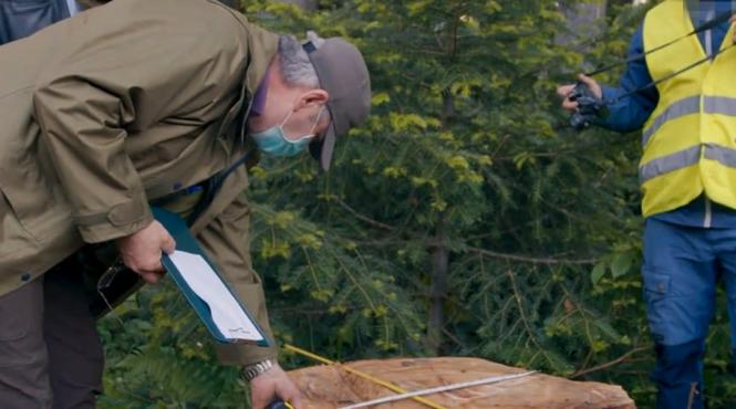 dupa cioate documentarul romanesc despre curajul activismului de mediu selectat in competitia festivalului de film de la cracovia