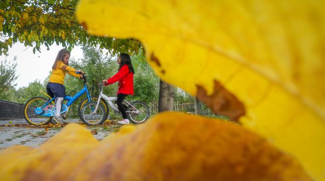 zodiac semne destin 4 zodii ceva maret 6 martie 2025