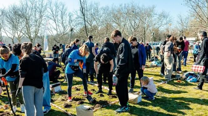 nicusor dan arbori parc