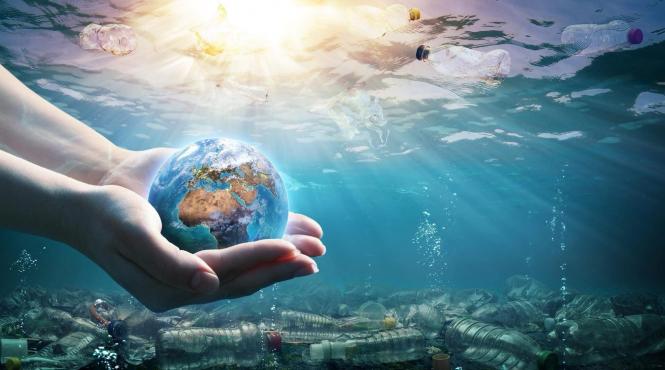 ziua mondiala a apei 2025 picatura care conteaza