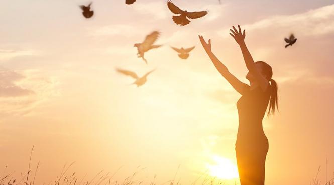 de ce intrebare adevar dorinta