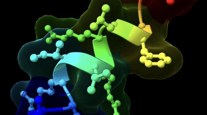 molecula naturala ozempic pastila de slabit