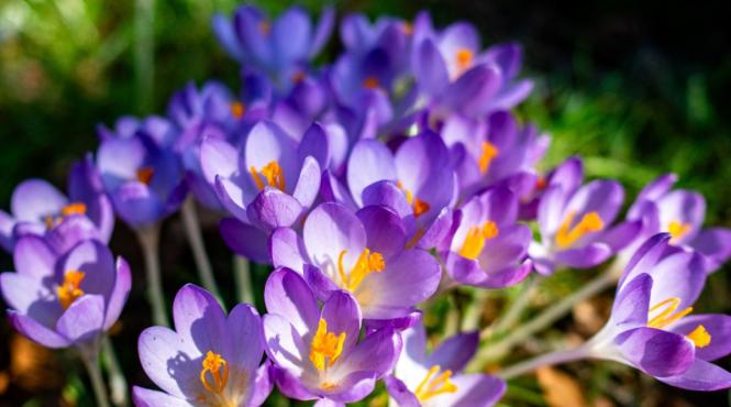 prognoza bucuresti vreme calda