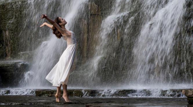 viitor pasi comportamente consecventa