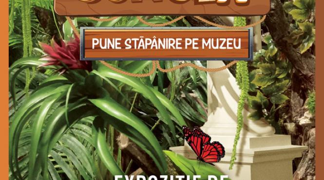 jungla pune stapanire pe muzeu expozitie de fluturi exotici vii la muzeul antipa