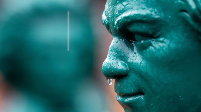 adn parul beethoven secrete neasteptate