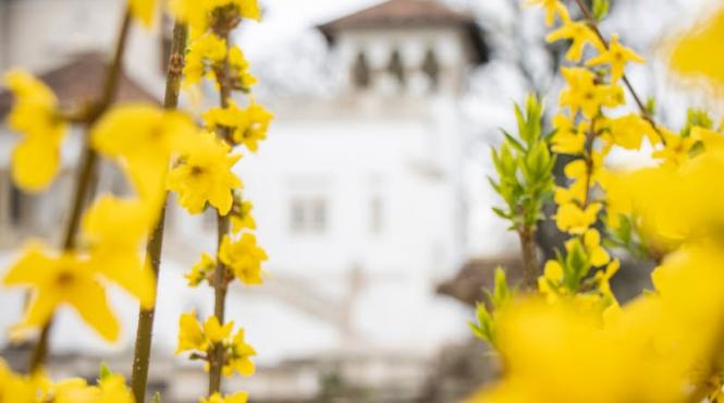 vizitare palat cotroceni porti deschise pret bilete