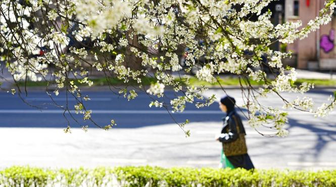 weekend calduros romania temperaturi urca 23 de grade