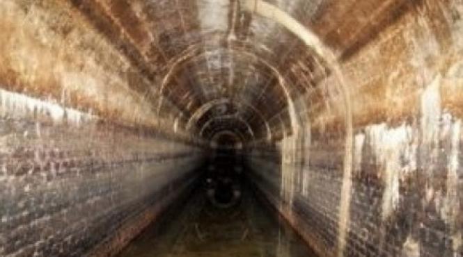 adaposturi bilant ingrijorator