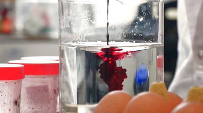 mancare alarmant vopsea oua toxica plumb